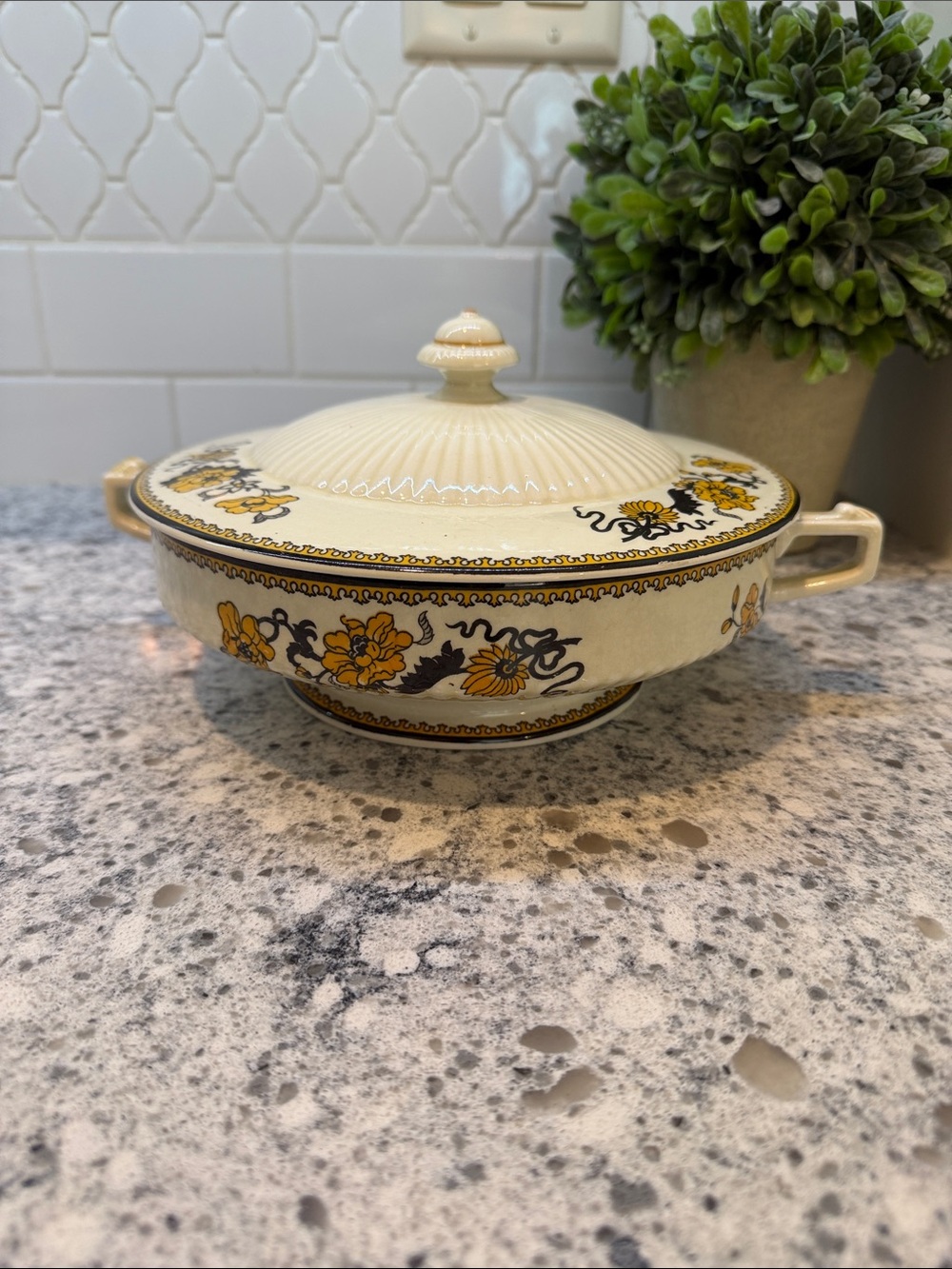 Blackstone Ridgeway Semi Porcelain Casserole/Soup Tureen With Lid